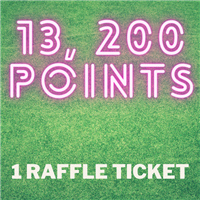 13,200 Points Badge
