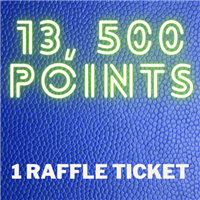 13,500 Points Badge