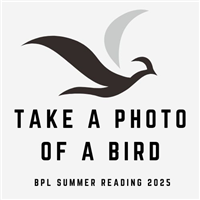 Take a photo of a bird Badge